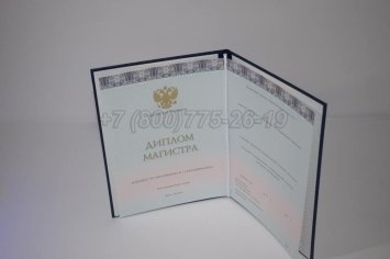 Диплом Магистра 2023г ООО "Знак" в Иркутске