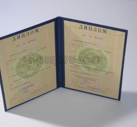 Диплом о Высшем Образовании Украинской ССР в Иркутске